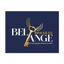 Logo Bel Ange Immobilier
